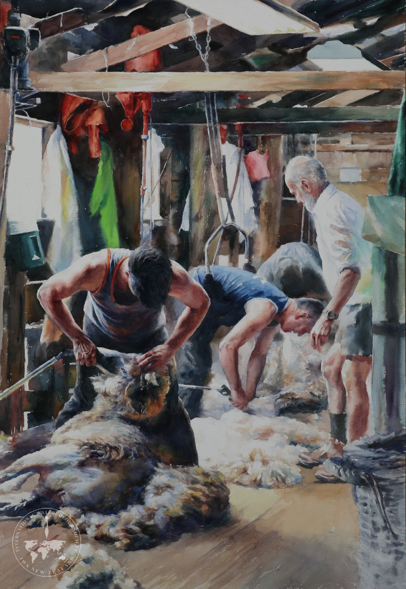 sheepshearing