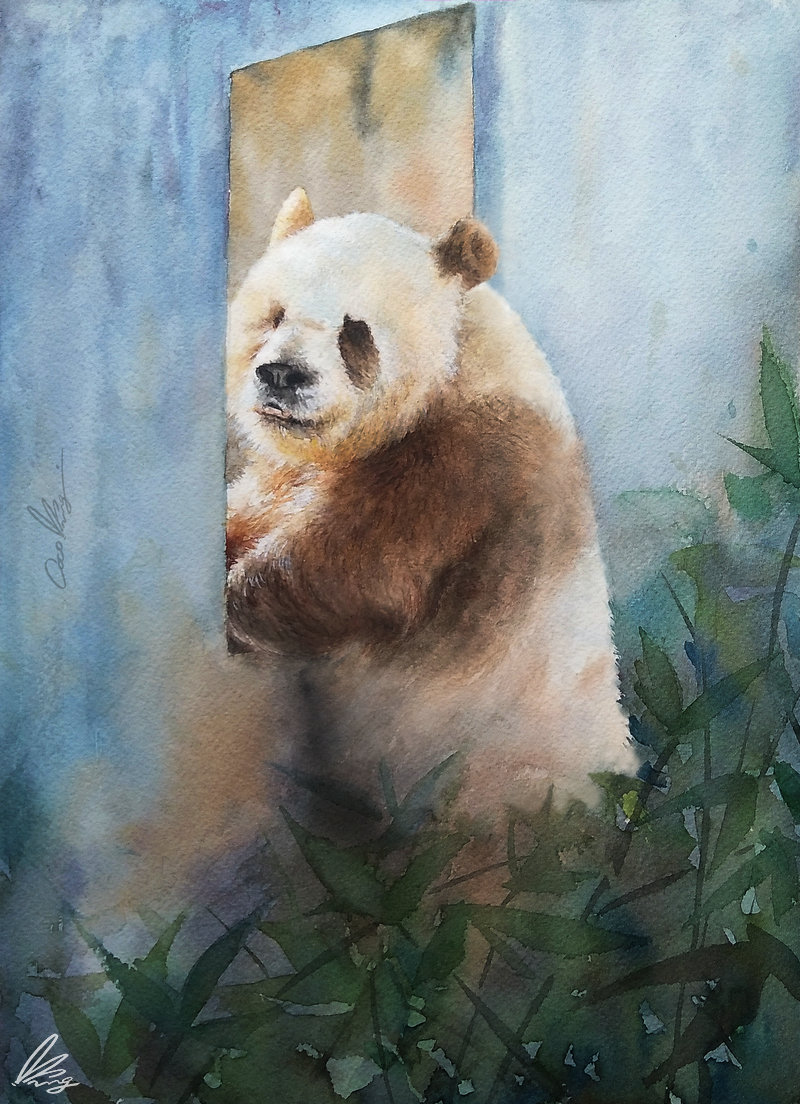 qizai-watercolour